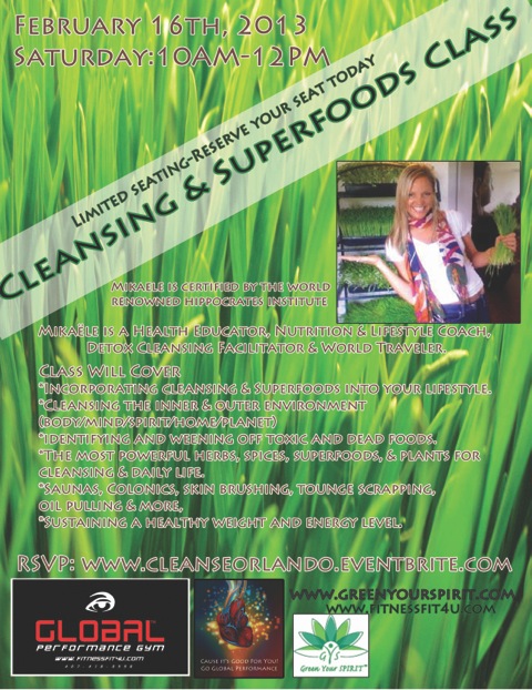 cleanse flyer
